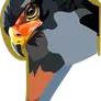 ico1