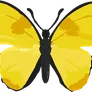 ico2